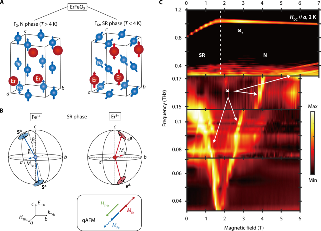 Spectroscopic evidence for the magnonic SRPT in ErFeO3. Credit: Science Advances (2025).
DOI: 10.1126/sciadv.adt1691