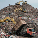 From Trash to Treasure: Wood Waste Becomes Valuable Chemicals