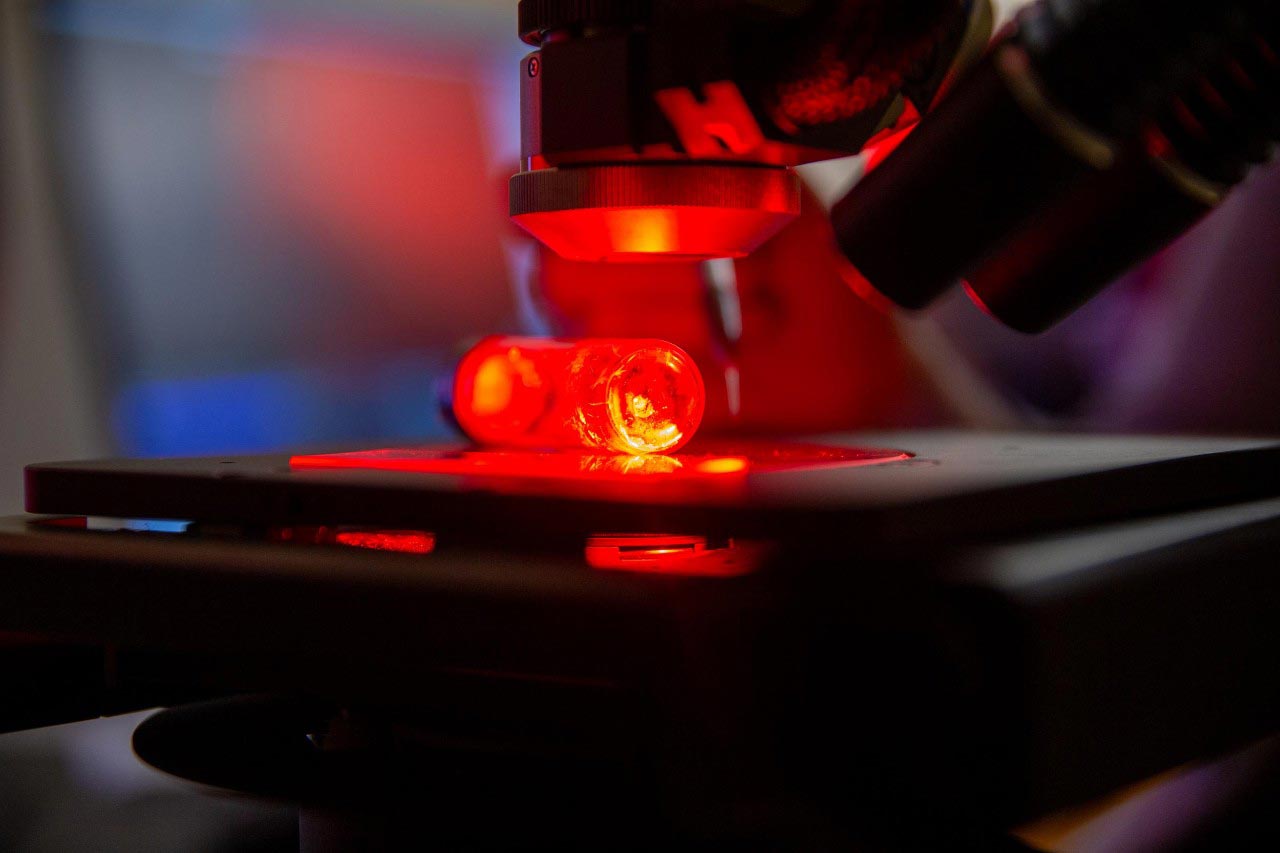 University of Cincinnati chemistry students are studying the properties of photoexplosive crystals that bend, twist, or explode under white light. Credit: Andrew Higley