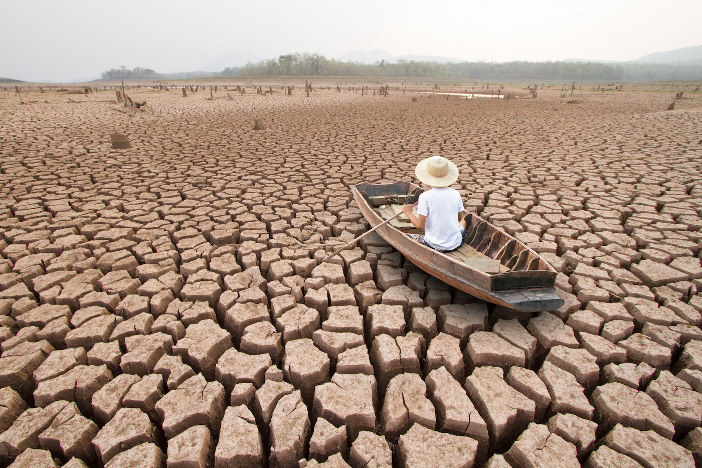 Global Aridification: Unraveling the Looming Agricultural Crisis