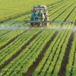 Turning Propane into Propylene with Sunlight and Water