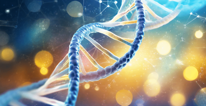 Rare Genetic Mutation Disrupts Brain Development in Autism