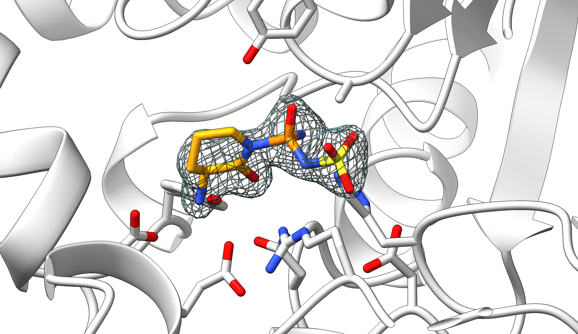 Sulphostin interacts with the S730A-DPP9 mutant Credit: ZMB/ AG Kaiser