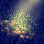 The Hidden Switch: How Aging Activates Belly Fat Production