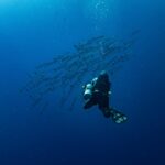Sound-Powered Future: Ultrasonic Waves Charge Devices Through Water and Flesh