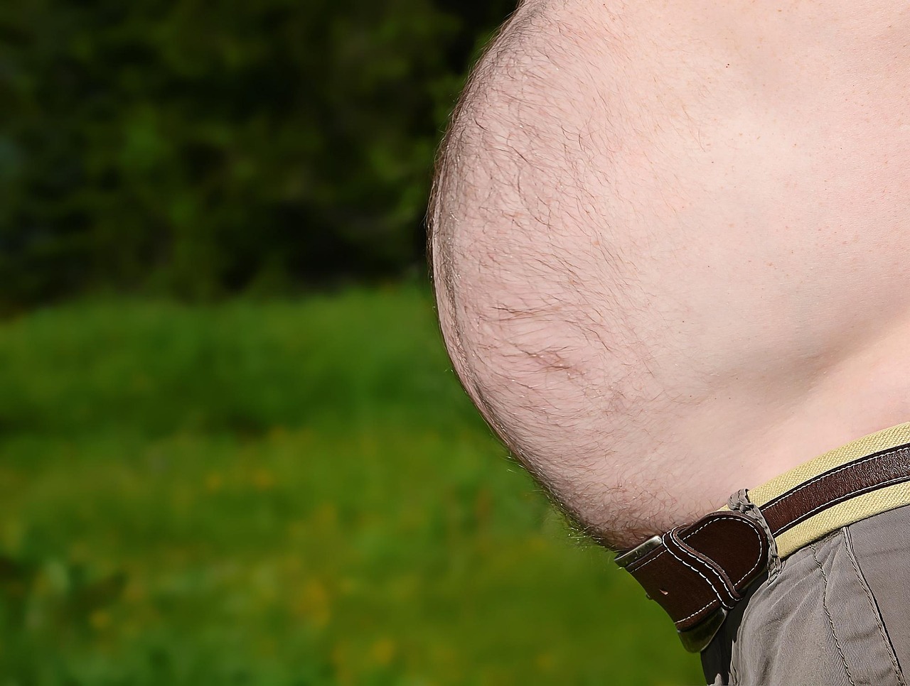 Unlocking the Belly Fat Mystery: How Aging Triggers New Fat Cells