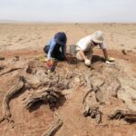 Ancient Viking Harbors Found on 3-Year Archaeological Expedition