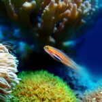 Nature’s Climbers Go Global: The “Cheater” Plants Overtaking Rainforests—Now Visible from Space