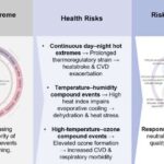 Bone Medications and Jaw Disease: Uncovering the Hidden Risks