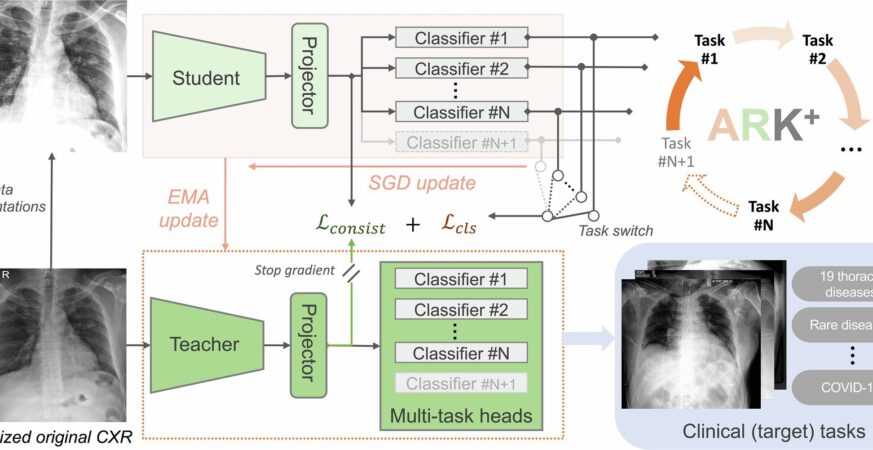 Illustration of training pipeline of Ark+. Credit: Nature (2025). DOI: 10.1038/s41586-025-09079-8
