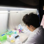 Engineered Bacteria Make Real Milk Proteins Without Cows